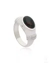 The Jewelz Men's Bloodstone Signet Silver Band Ring Gifting For Father's Day