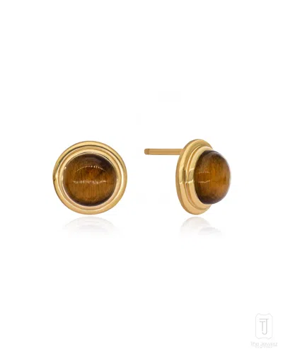 The Jewelz Women's Yellow / Orange / Brown Tigers Eye Singularity Silver Studs For Gifting