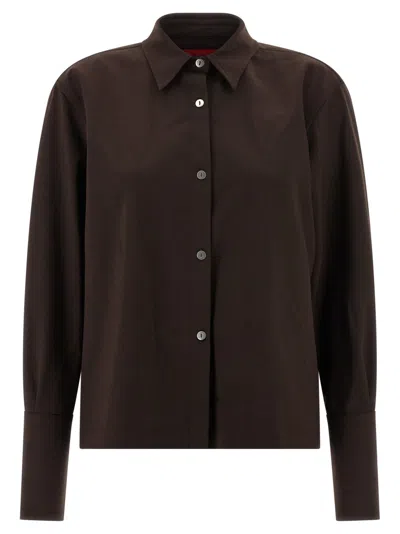 THE LATEST WOMEN BROWN 4006 SHIRT, M LUXURY SHIRTS FOR WOMEN DARVEYS