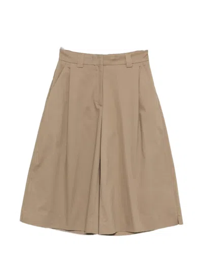 The Latest Dakota Pleated Shorts In Brown