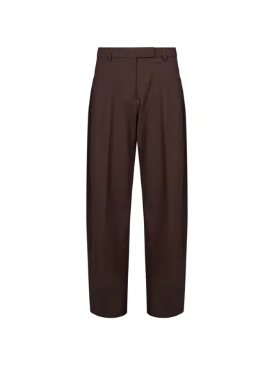 The Latest E-dina Pleated Tailored Trousers In Brown