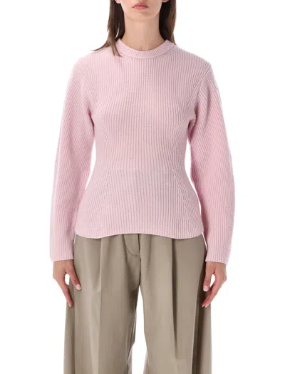 The Latest Elodie Wool Ribbed Knit Crewneck Sweater In Pink