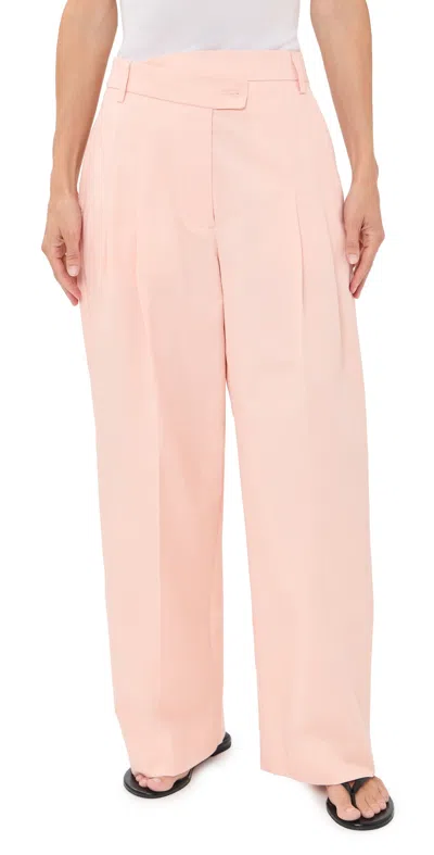 The Latest Petite Ester Tecnico Tinto Pants Light Pink