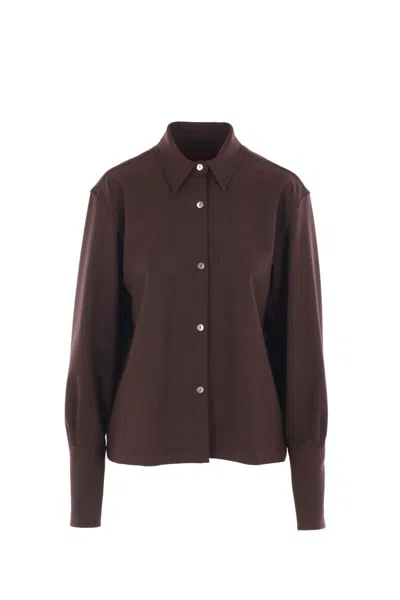 The Latest Shirts In Brown