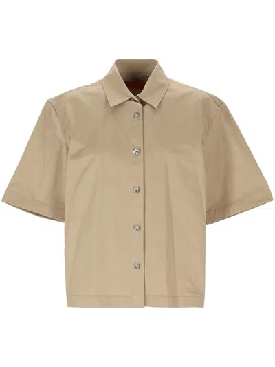 The Latest Shirts In Brown