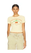 THE LAUNDRY ROOM YELLOWSTONE BISON BABY TEE