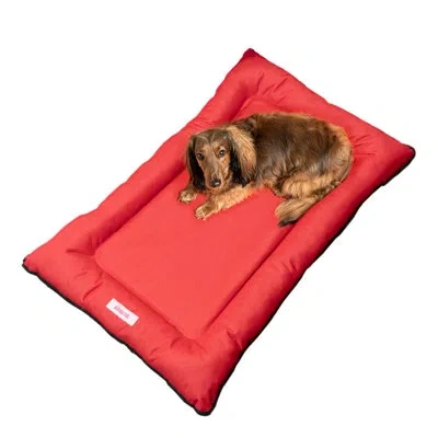 The Licker Store Archie Traditional Oxford Waterproof Indoor/outdoor Hand-washable Memory Foam Camping Pet Bed In Strawberry
