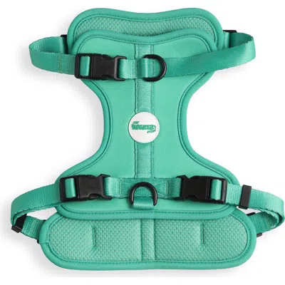 The Licker Store Arlo Adjustable Soft Padded No Pull Pet Harness With 3 Buckles And 3 Leash Clips In Green