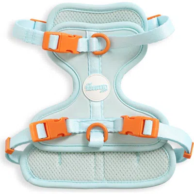 The Licker Store Arlo Adjustable Soft Padded No Pull Pet Harness With 3 Buckles And 3 Leash Clips In Blue
