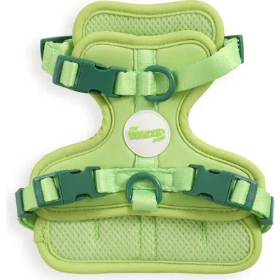 The Licker Store Arlo Adjustable Soft Padded No Pull Pet Harness With 3 Buckles And 3 Leash Clips In Green