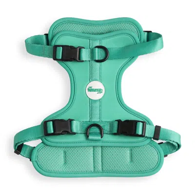 The Licker Store Arlo Large Adjustable Soft Padded No Pull Pet Harness With 3 Buckles And 3 Leash Clips In Gold