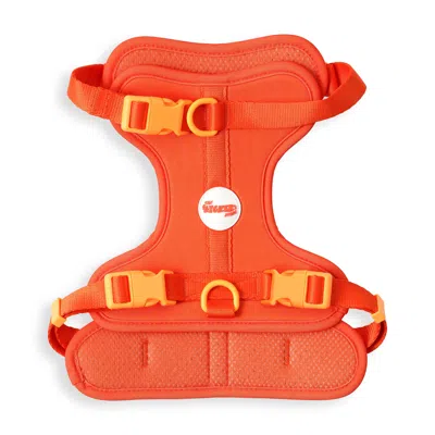 The Licker Store Arlo Large Adjustable Soft Padded No Pull Pet Harness With 3 Buckles And 3 Leash Clips In Multi