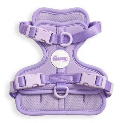 The Licker Store Arlo Large Adjustable Soft Padded No Pull Pet Harness With 3 Buckles And 3 Leash Clips In Purple