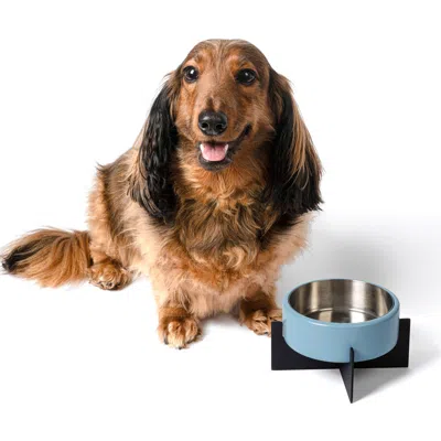 The Licker Store Intersecta Concrete And Stainless Steel Bowl With Metal Stand Pet Feeder In Blue