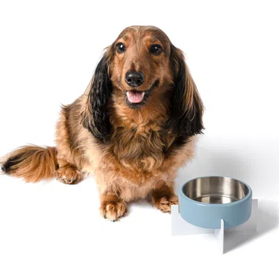 The Licker Store Intersecta Concrete And Stainless Steel Bowl With Metal Stand Pet Feeder In Blue