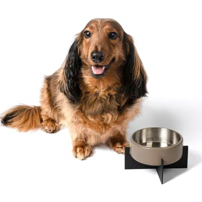 The Licker Store Intersecta Concrete And Stainless Steel Bowl With Metal Stand Pet Feeder In Silver