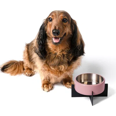 The Licker Store Intersecta Concrete And Stainless Steel Bowl With Metal Stand Pet Feeder In Pink
