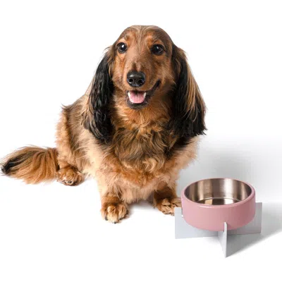 The Licker Store Intersecta Concrete And Stainless Steel Bowl With Metal Stand Pet Feeder In Pink