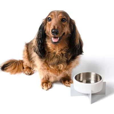 The Licker Store Intersecta Concrete And Stainless Steel Bowl With Metal Stand Pet Feeder In White