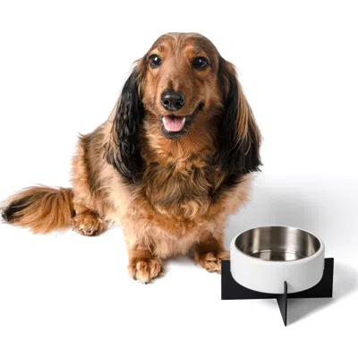 The Licker Store Intersecta Concrete And Stainless Steel Bowl With Metal Stand Pet Feeder In White