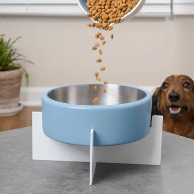 The Licker Store Intersecta Small/medium Concrete And Stainless Steel Bowl 16oz (2 Cups) With Metal Stand Pet Feeder, In Blue