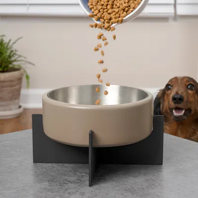 The Licker Store Intersecta Small/medium Concrete And Stainless Steel Bowl 16oz (2 Cups) With Metal Stand Pet Feeder, In Neutral
