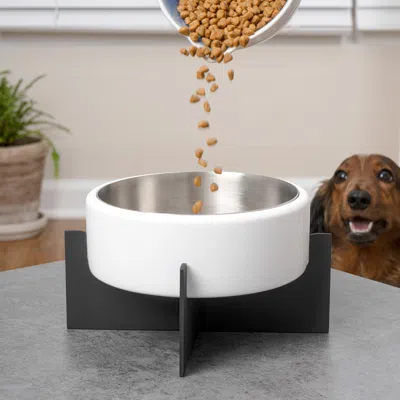 The Licker Store Intersecta Small/medium Concrete And Stainless Steel Bowl 16oz (2 Cups) With Metal Stand Pet Feeder, In White