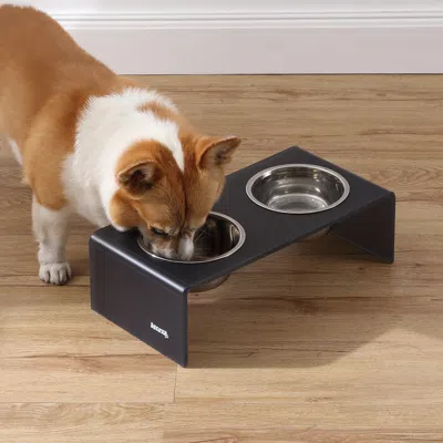 The Licker Store Keaton Modern Acrylic Rectangular Elevated Pet Feeder 2-stainless Steel Bowls In Gray