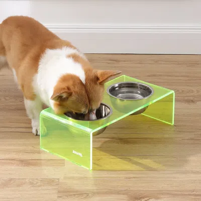 The Licker Store Keaton Modern Acrylic Rectangular Elevated Pet Feeder 2-stainless Steel Bowls In Green