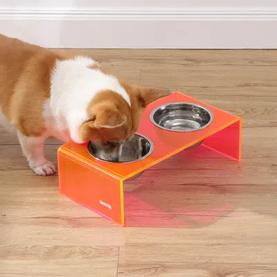 The Licker Store Keaton Modern Acrylic Rectangular Elevated Pet Feeder 2-stainless Steel Bowls In Orange