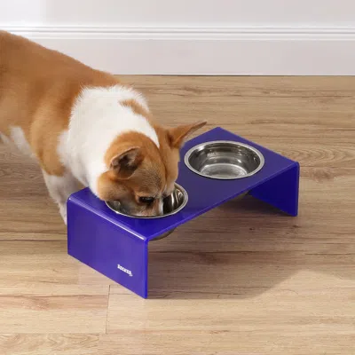 The Licker Store Keaton Modern Acrylic Rectangular Elevated Pet Feeder 2-stainless Steel Bowls In Multi