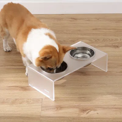 The Licker Store Keaton Modern Acrylic Rectangular Elevated Pet Feeder 2-stainless Steel Bowls In White