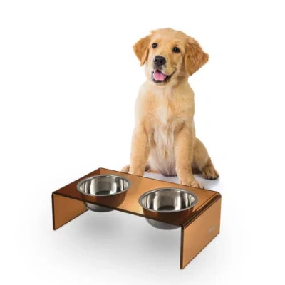 The Licker Store Keaton Modern Lucite Rectangular Elevated Pet Feeder With 2-stainless Steel Bowls In Multi