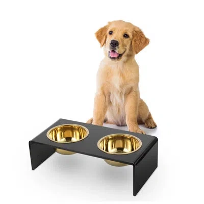 The Licker Store Keaton Modern Lucite Rectangular Elevated Pet Feeder With 2-stainless Steel Bowls In Black,gold