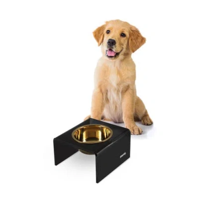 The Licker Store Keaton Modern Lucite Rectangular Elevated Pet Feeder With 2-stainless Steel Bowls In Black