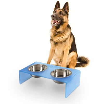 The Licker Store Keaton Modern Lucite Rectangular Elevated Pet Feeder With 2-stainless Steel Bowls In Multi
