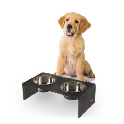 The Licker Store Keaton Modern Lucite Rectangular Elevated Pet Feeder With 2-stainless Steel Bowls In Black