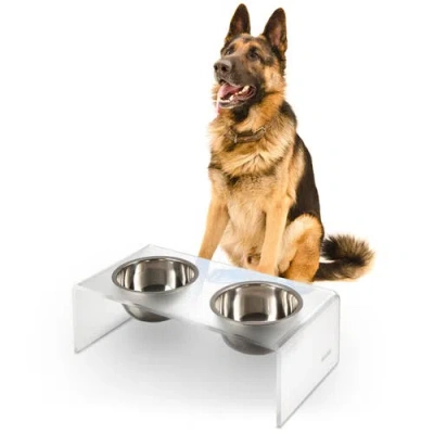 The Licker Store Keaton Modern Lucite Rectangular Elevated Pet Feeder With 2-stainless Steel Bowls In Silver