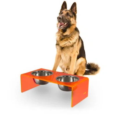 The Licker Store Keaton Modern Lucite Rectangular Elevated Pet Feeder With 2-stainless Steel Bowls In Orange