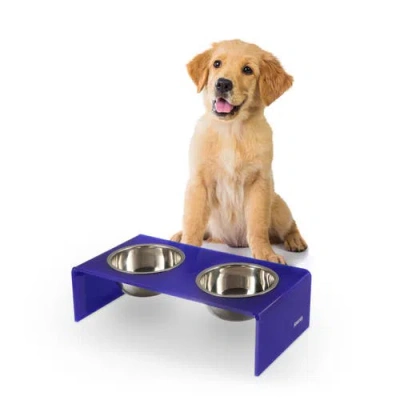 The Licker Store Keaton Modern Lucite Rectangular Elevated Pet Feeder With 2-stainless Steel Bowls In Blue