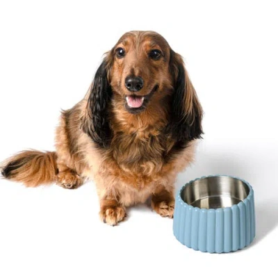 The Licker Store Ripple Ridge Slanted Concrete And Stainless Steel Bowl Pet Feeder In Blue