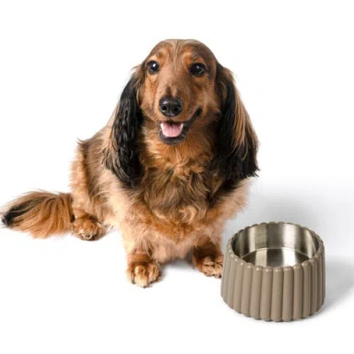 The Licker Store Ripple Ridge Slanted Concrete And Stainless Steel Bowl Pet Feeder In Brown