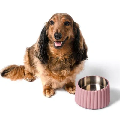 The Licker Store Ripple Ridge Slanted Concrete And Stainless Steel Bowl Pet Feeder In Pink