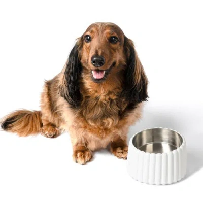 The Licker Store Ripple Ridge Slanted Concrete And Stainless Steel Bowl Pet Feeder In White