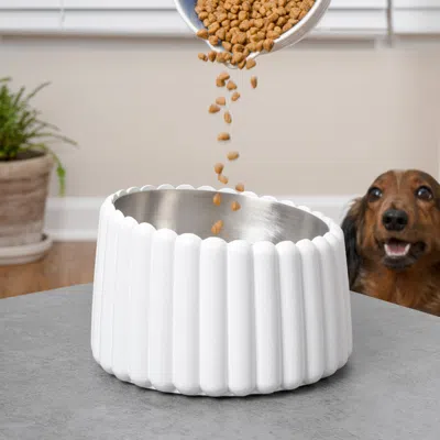 The Licker Store Ripple Ridge Small/medium Slanted Concrete And Stainless Steel Bowl 16oz (2 Cups) Pet Feeder, Brown In White