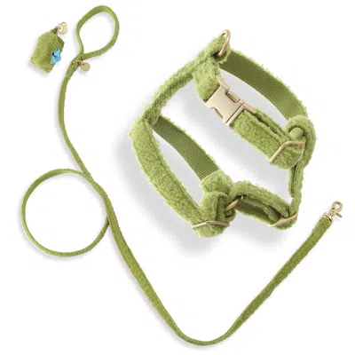 The Licker Store Teddy Bouclé Adjustable H Harness And Leash Walk Set With Poop Bag In Green