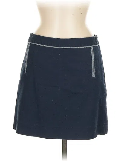 Pre-owned The Limited Casual Skirt In Blue