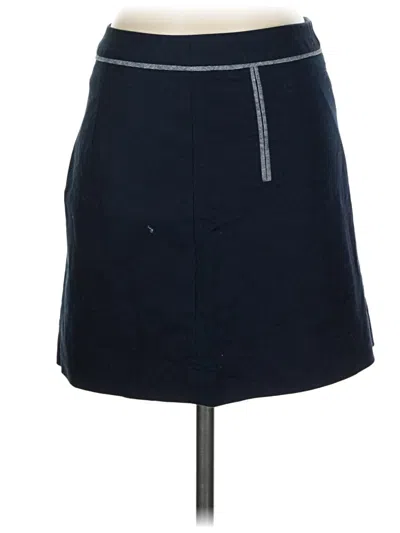 Pre-owned The Limited Casual Skirt In Blue