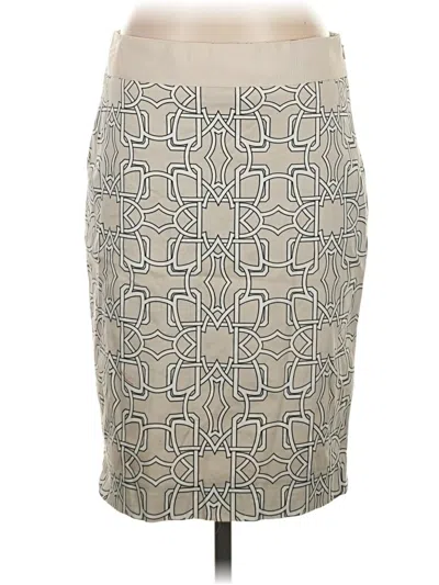 Pre-owned The Limited Casual Skirt In Gray