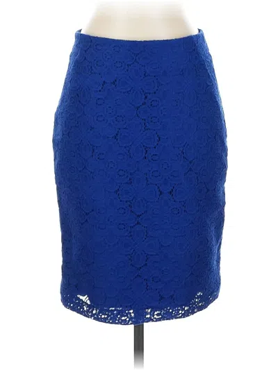 Pre-owned The Limited Formal Skirt In Blue